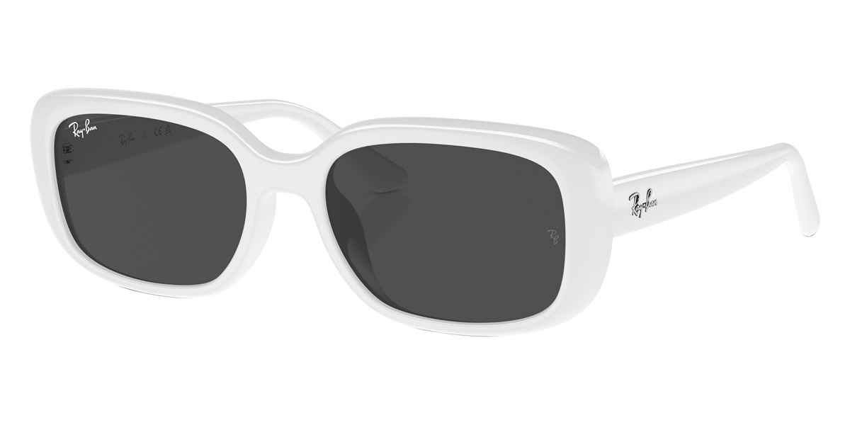 Ray-Ban™ - RB4421D