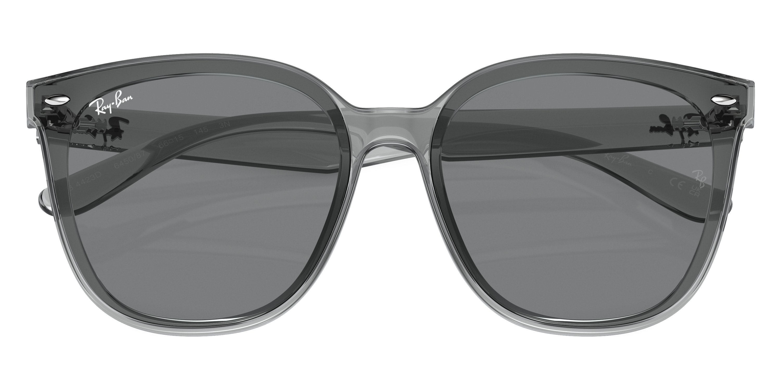 Ray-Ban™ - RB4423D