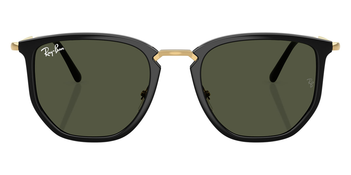 Ray-Ban™ - RB4451