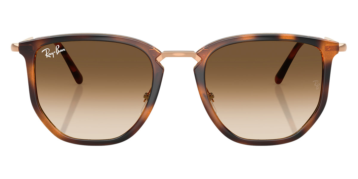 Ray-Ban™ - RB4451