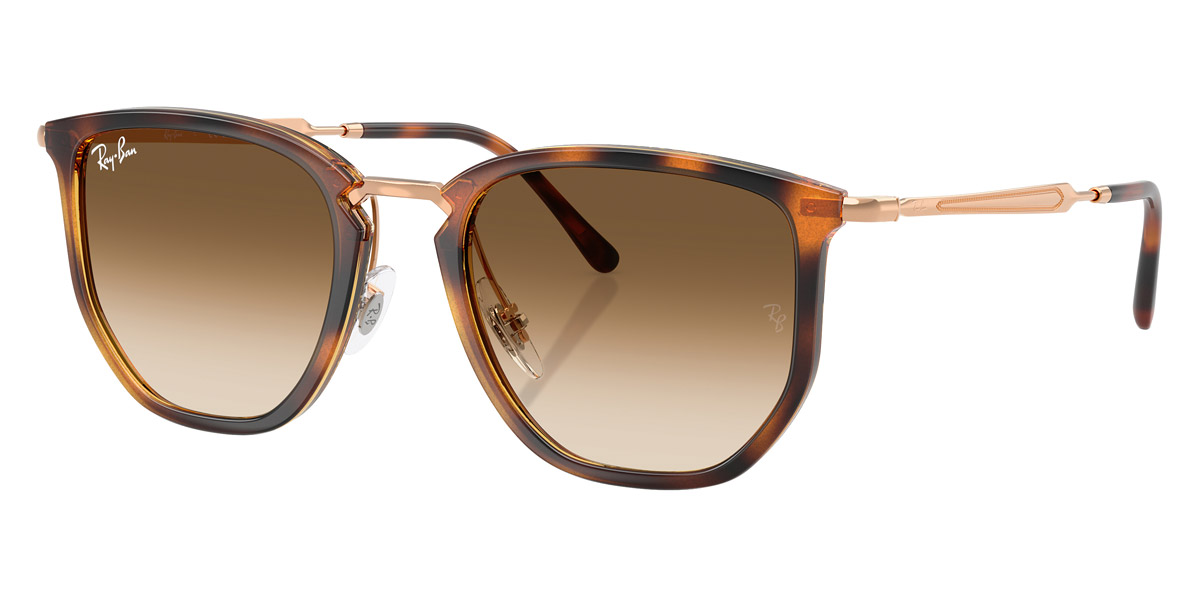 Ray-Ban™ - RB4451