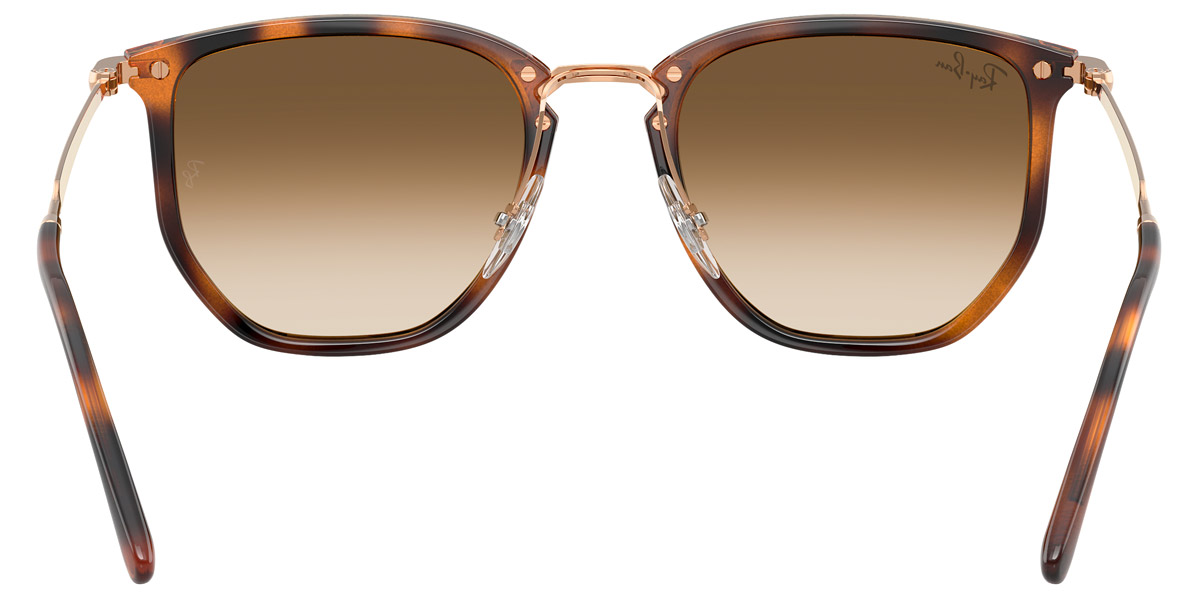 Ray-Ban™ - RB4451