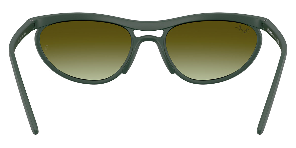 Ray-Ban™ - RB4453