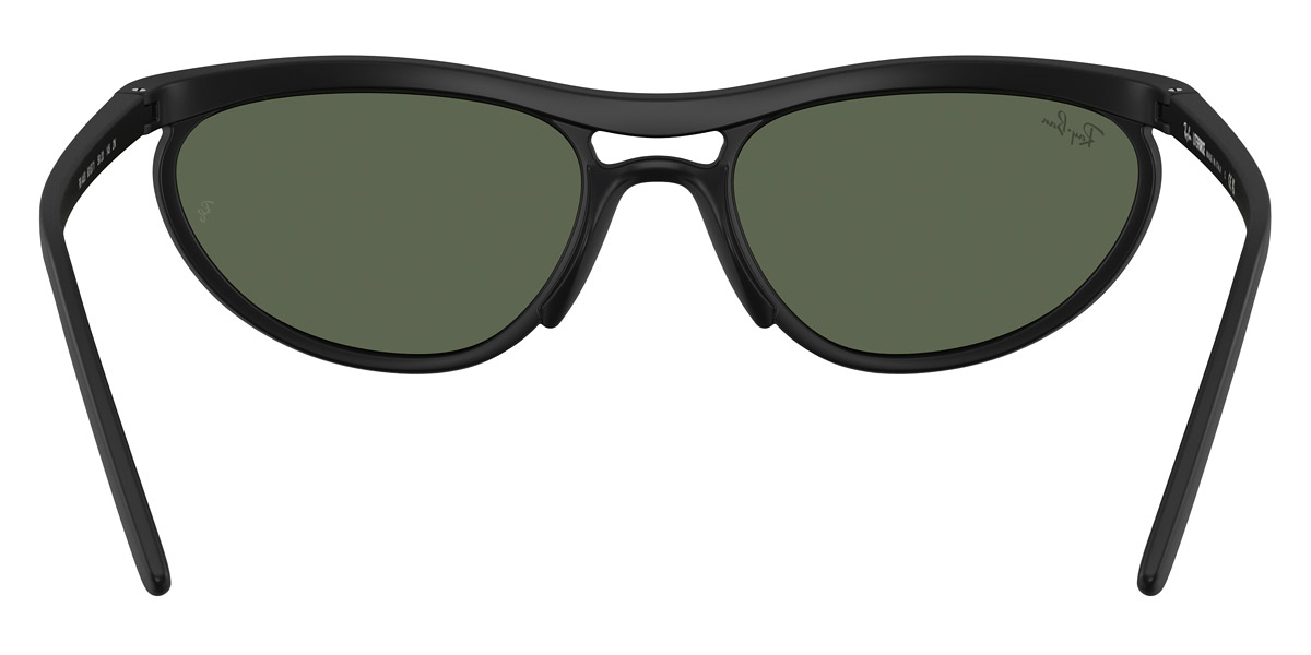 Ray-Ban™ - RB4453