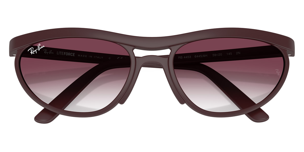 Ray-Ban™ - RB4453