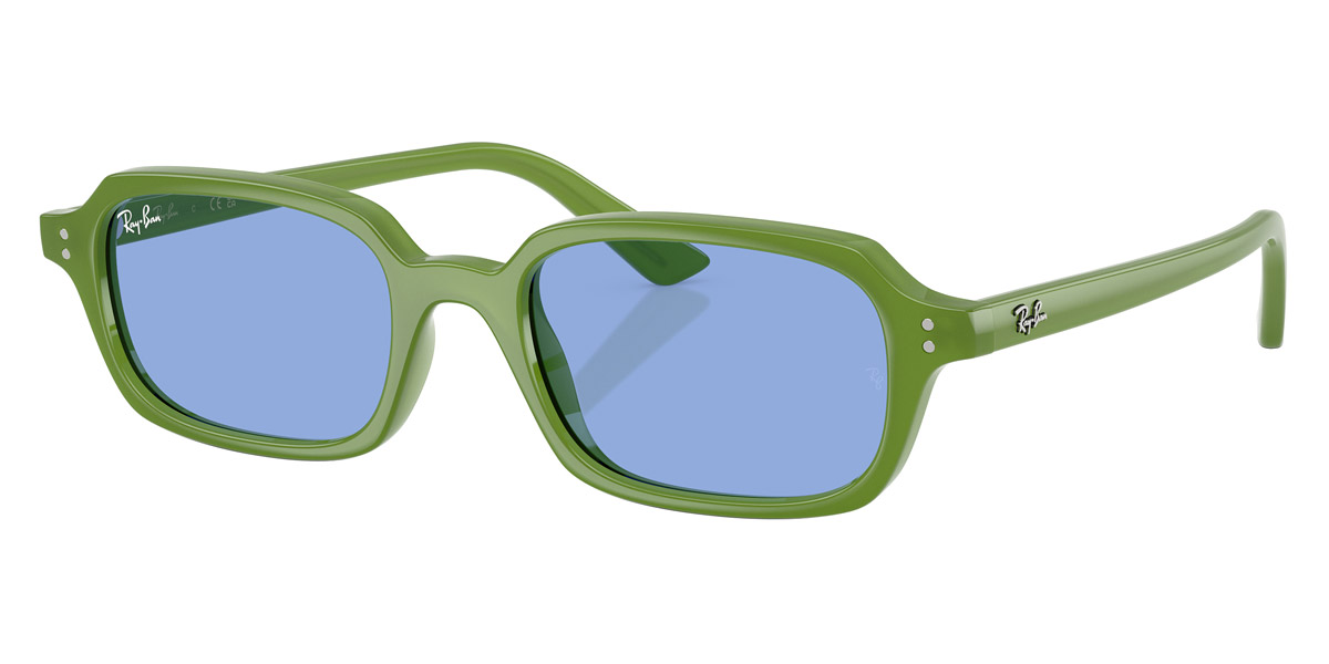 Ray-Ban™ - Zuri RB4455F