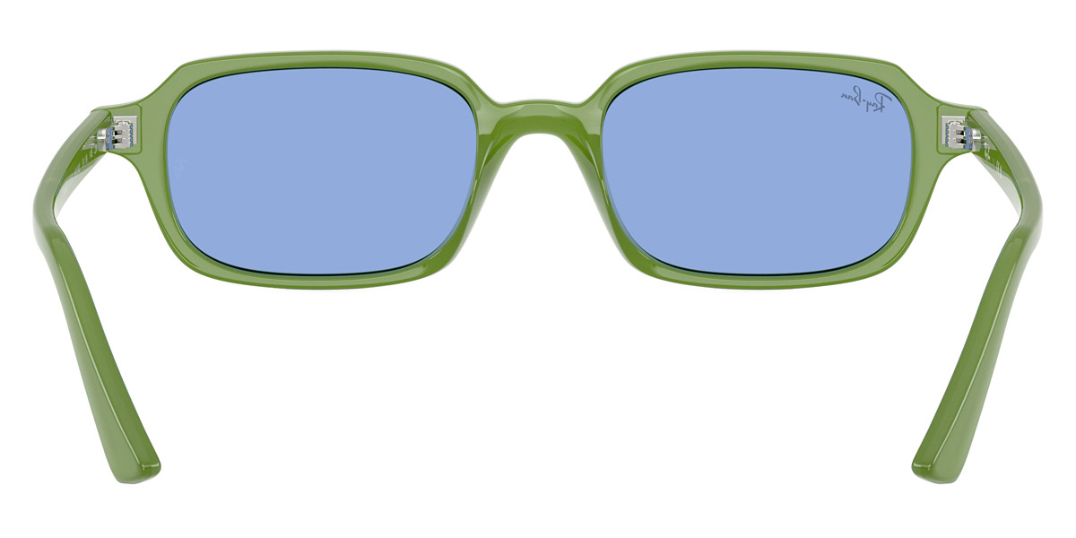 Ray-Ban™ - Zuri RB4455F