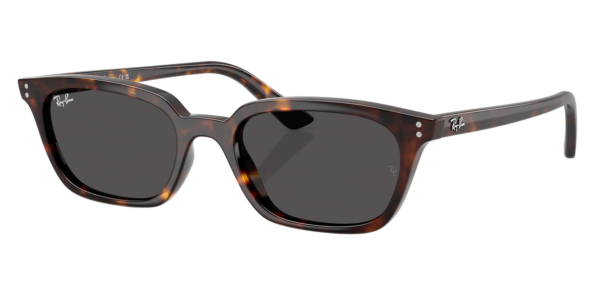 Ray-Ban™ - Zaya RB4456