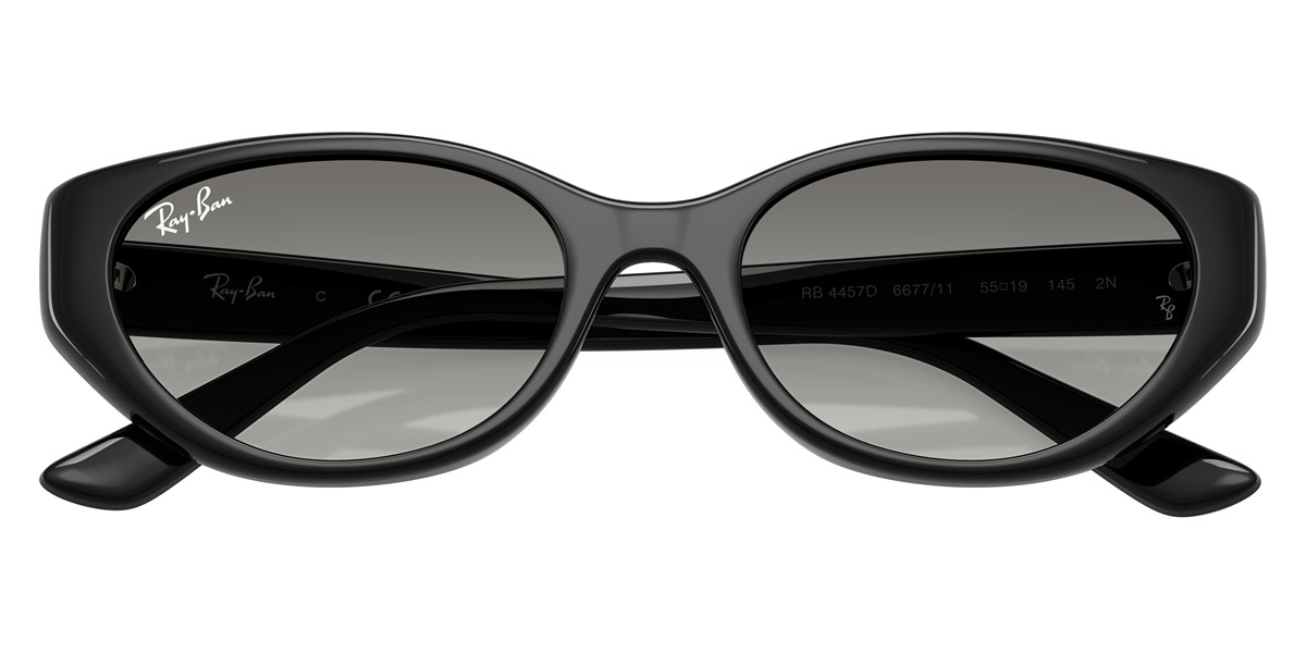 Ray-Ban™ - RB4457D