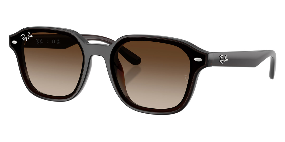 Ray-Ban™ - RB4458D