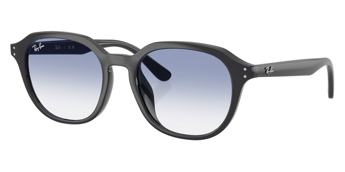 Ray-Ban™ - RB4459D