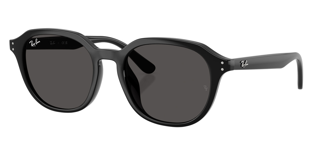 Ray-Ban™ - RB4459D