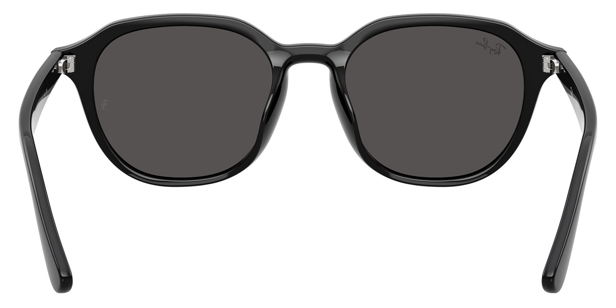 Ray-Ban™ - RB4459D