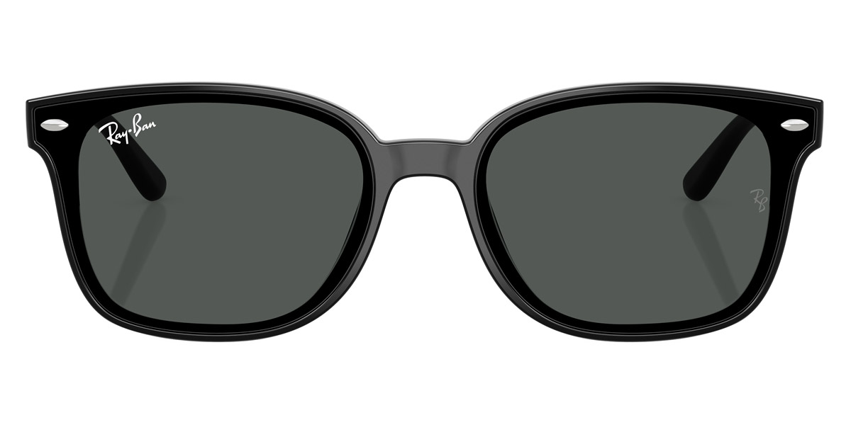 Ray-Ban™ - RB4461D