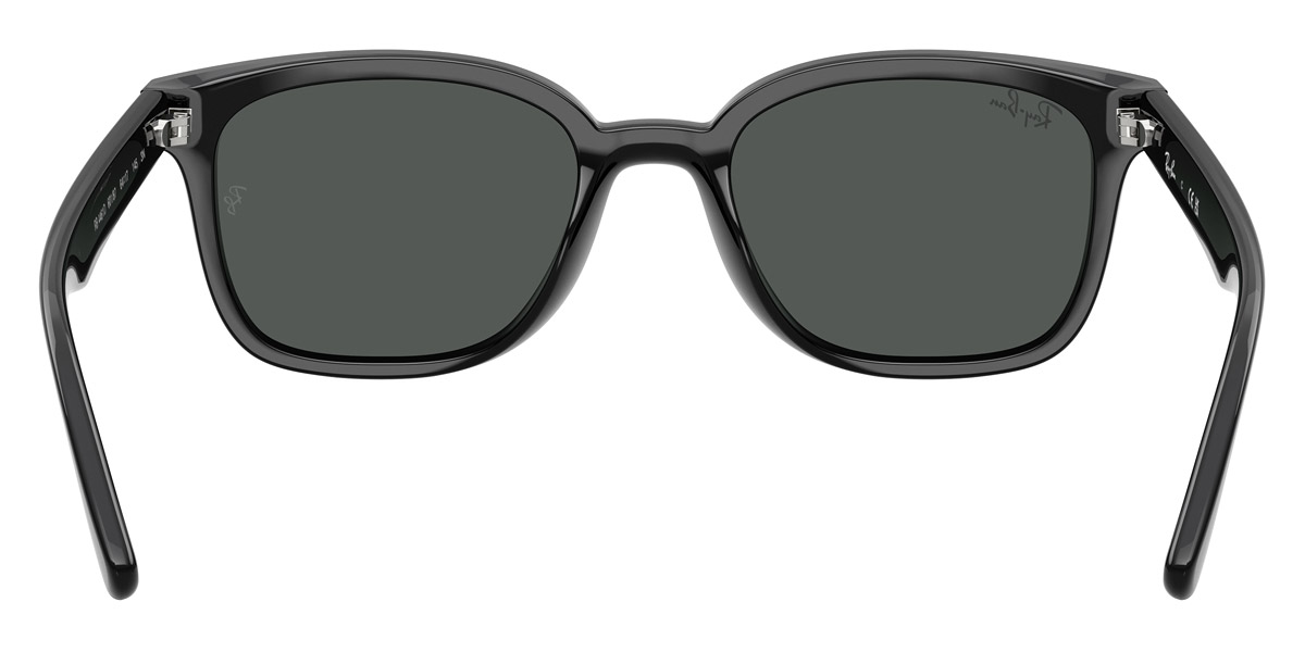 Ray-Ban™ - RB4461D