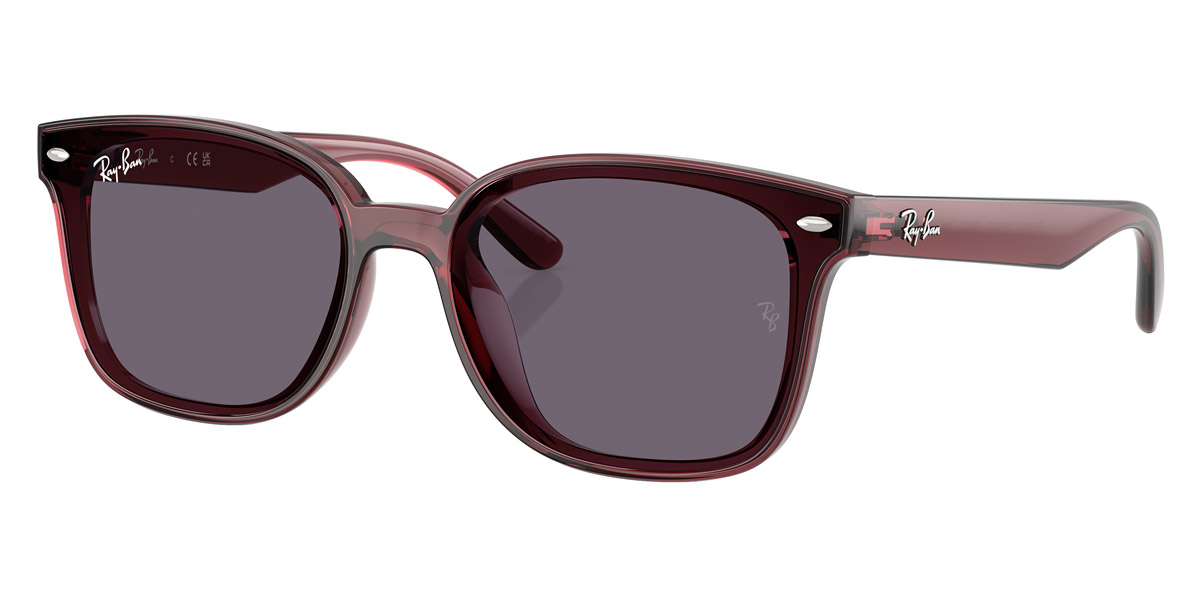 Ray-Ban™ - RB4461D