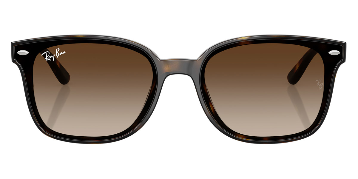 Ray-Ban™ - RB4461D