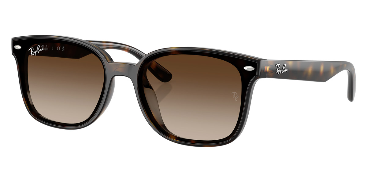 Ray-Ban™ - RB4461D