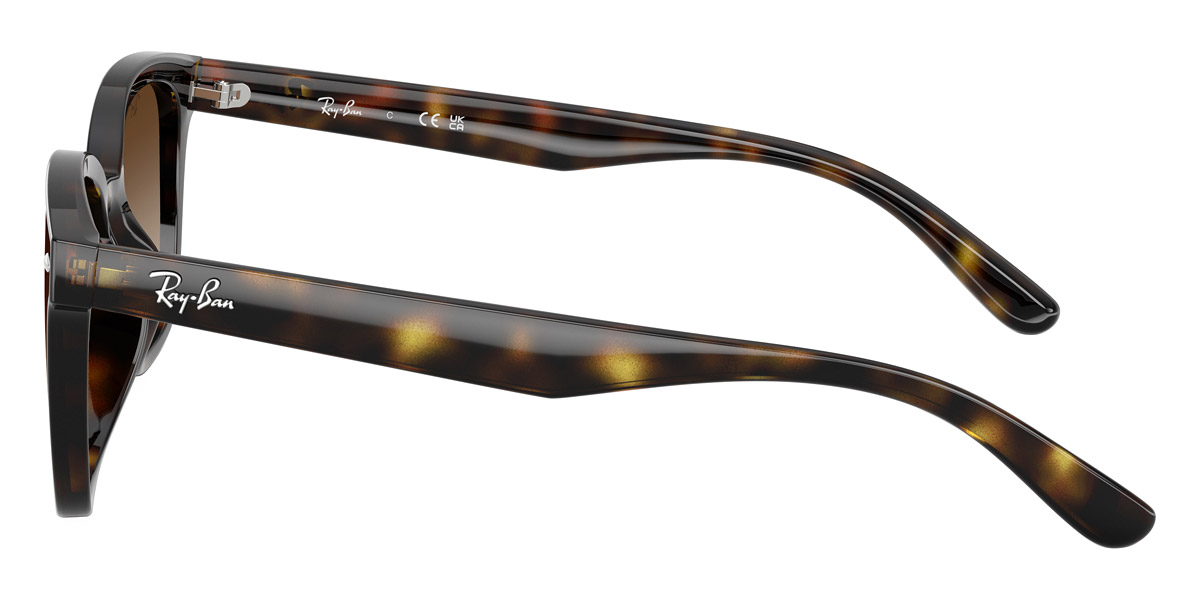 Ray-Ban™ - RB4461D