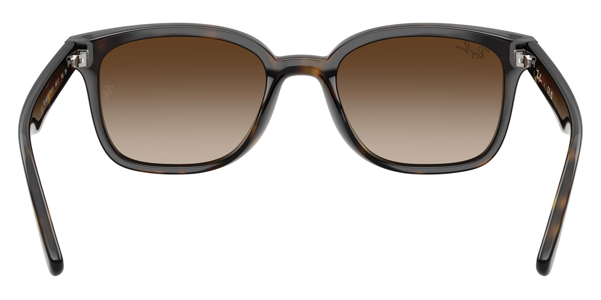 Ray-Ban™ - RB4461D
