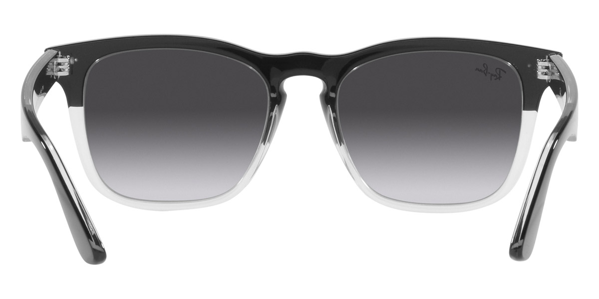 Ray-Ban™ - Steve RB4487F