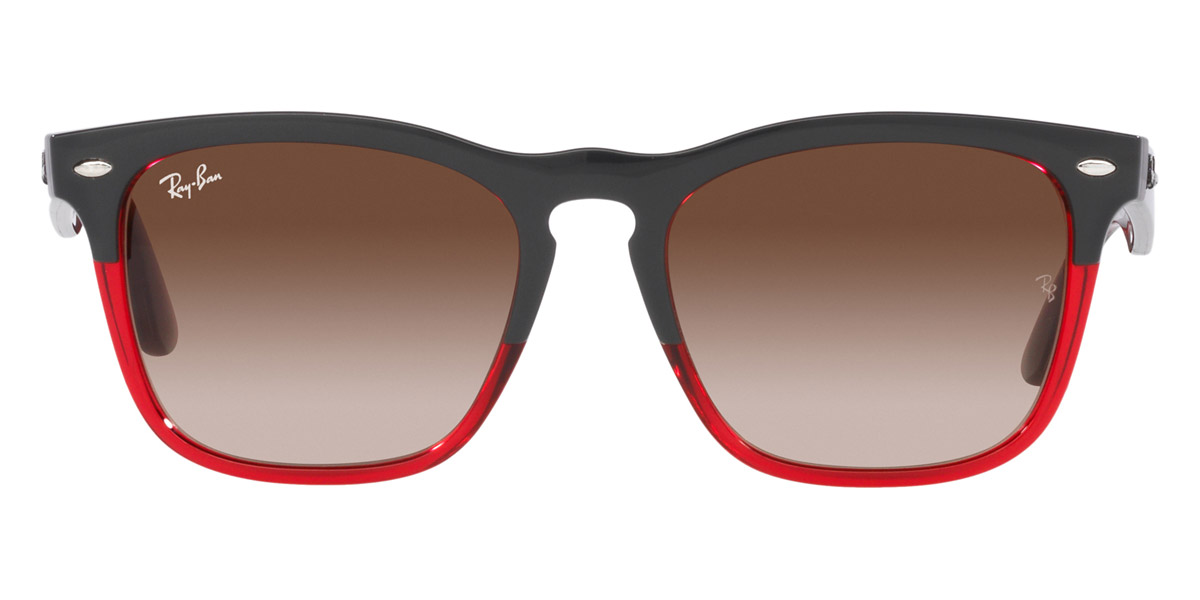 Ray-Ban™ - Steve RB4487F