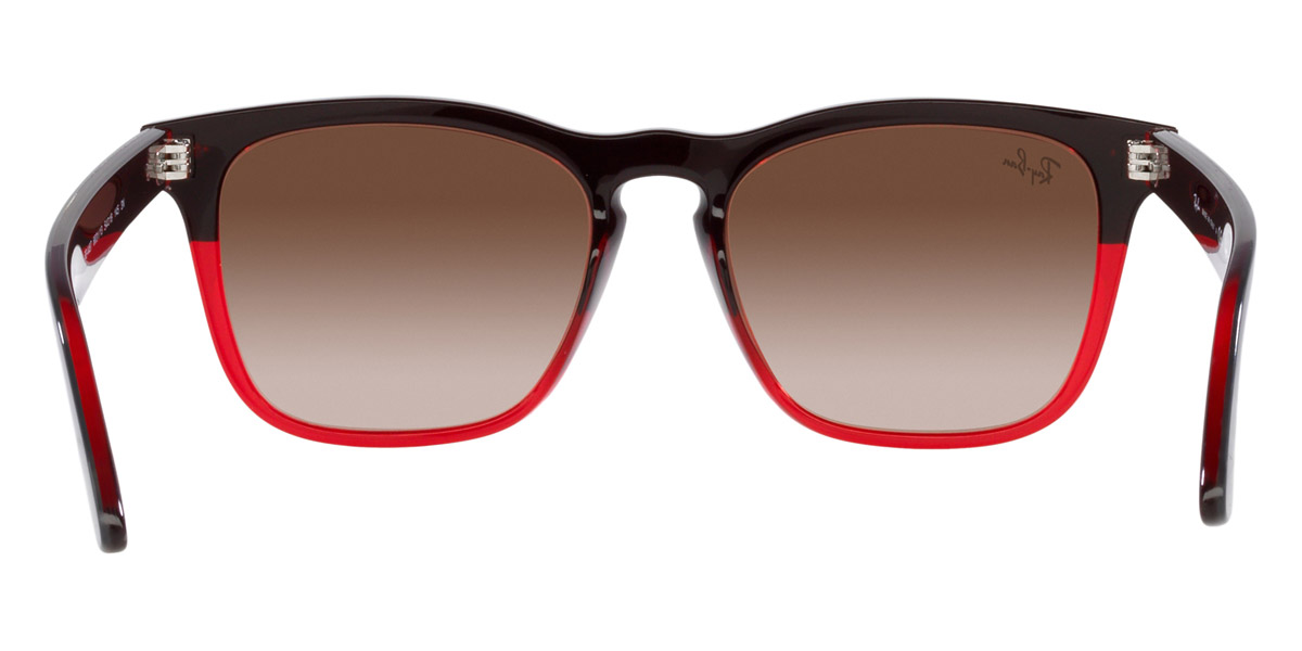 Ray-Ban™ - Steve RB4487F