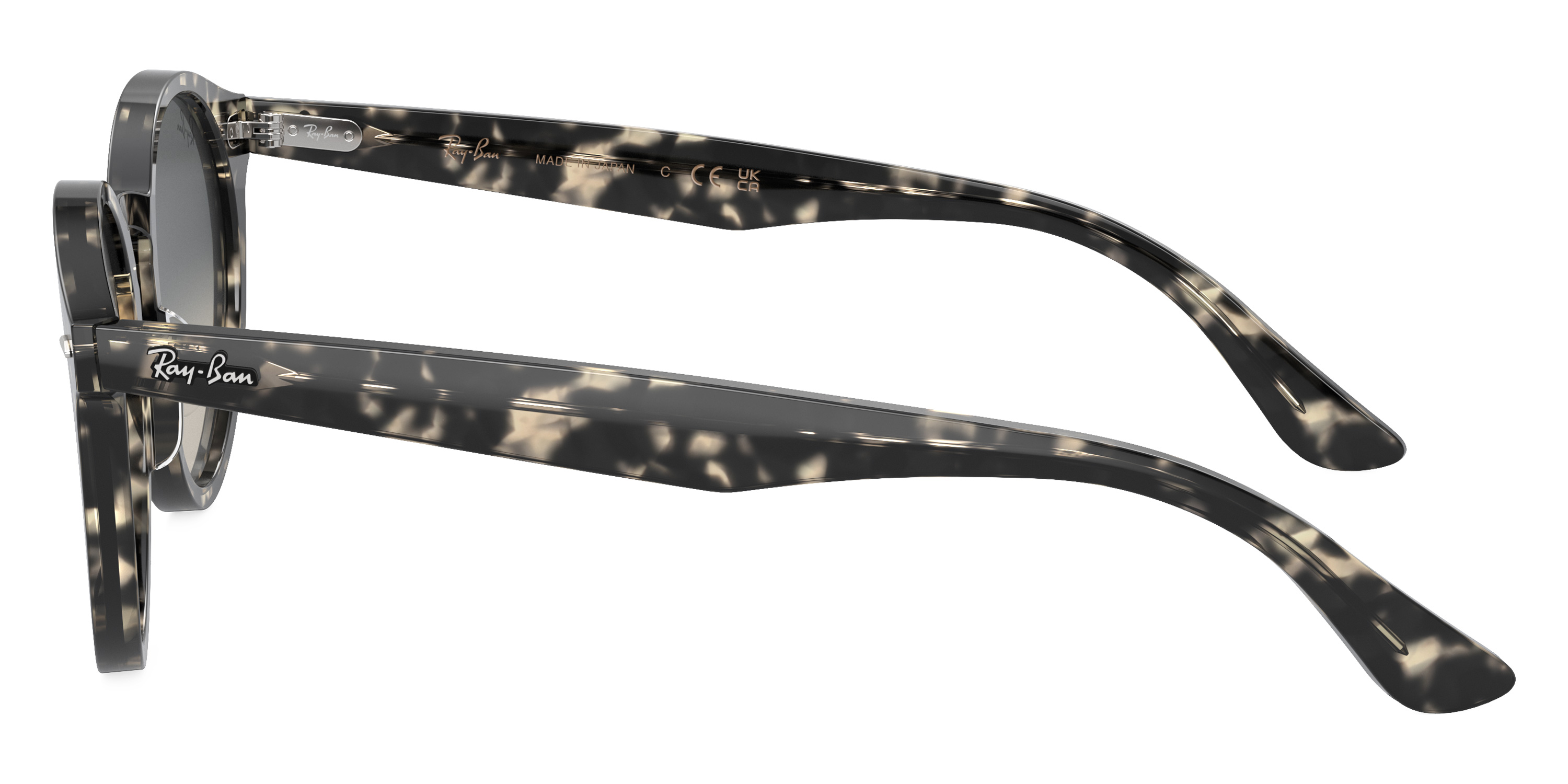 Ray-Ban™ - Larry RB7680S