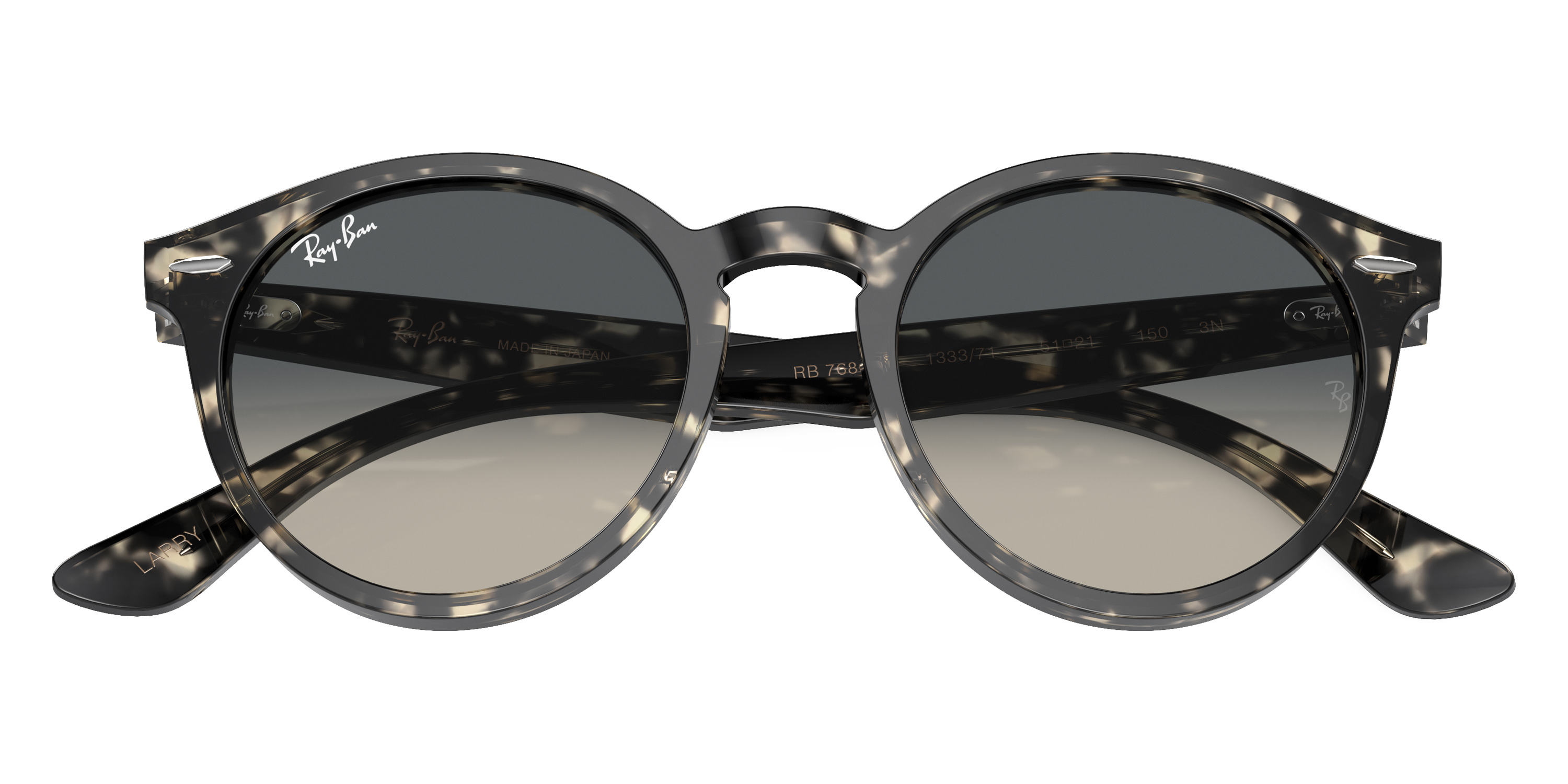 Ray-Ban™ - Larry RB7680S