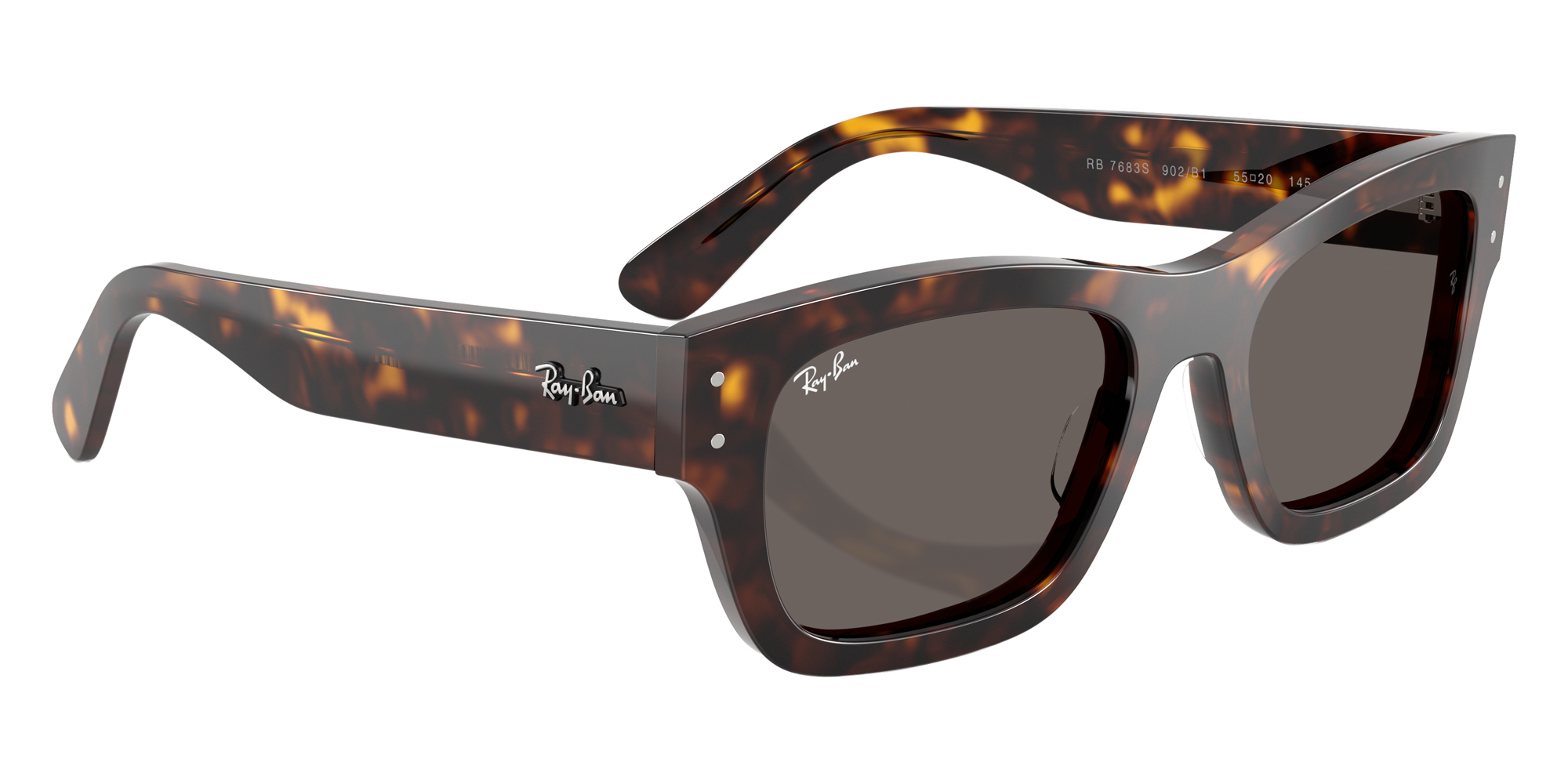 Ray-Ban™ - RB7683S Joseph