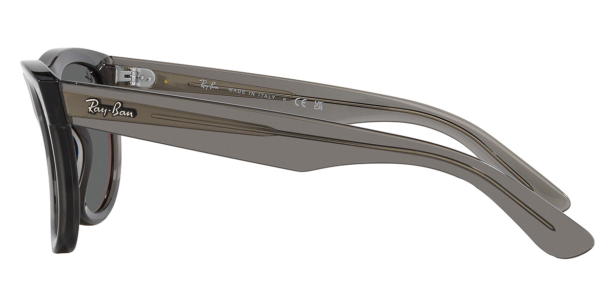 Ray-Ban™ - Wayfarer Reverse RBR0502S