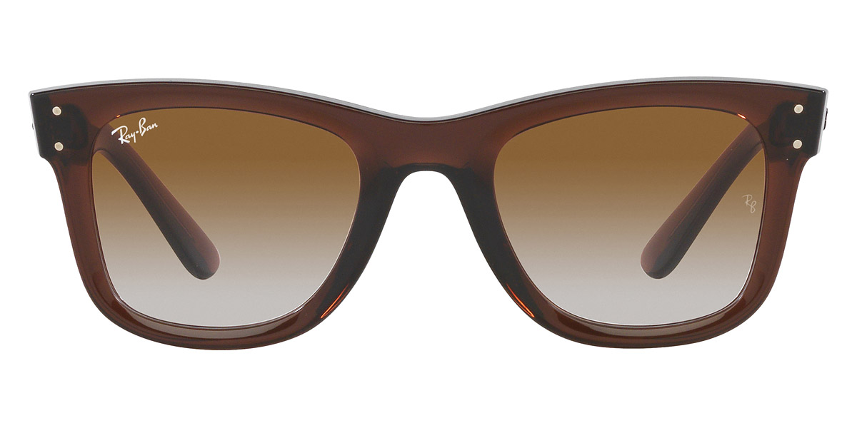 Ray-Ban™ - Wayfarer Reverse RBR0502S