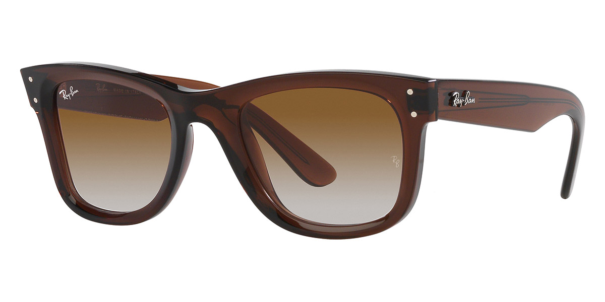 Ray-Ban™ - Wayfarer Reverse RBR0502S
