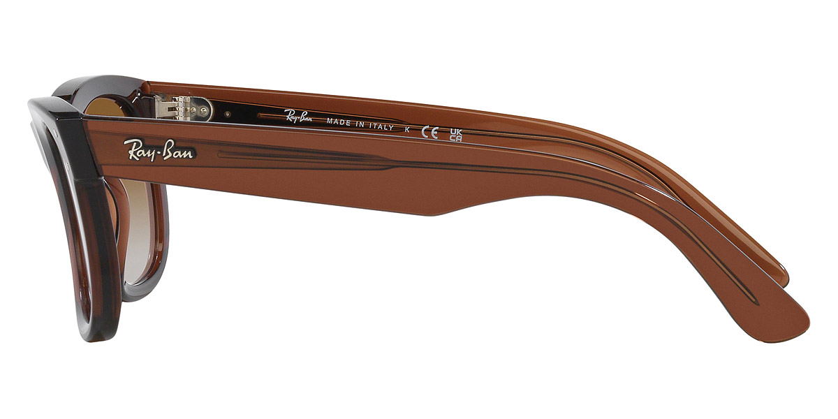 Ray-Ban™ - Wayfarer Reverse RBR0502S
