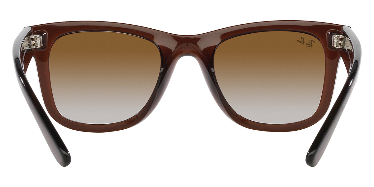 Ray-Ban™ - Wayfarer Reverse RBR0502S