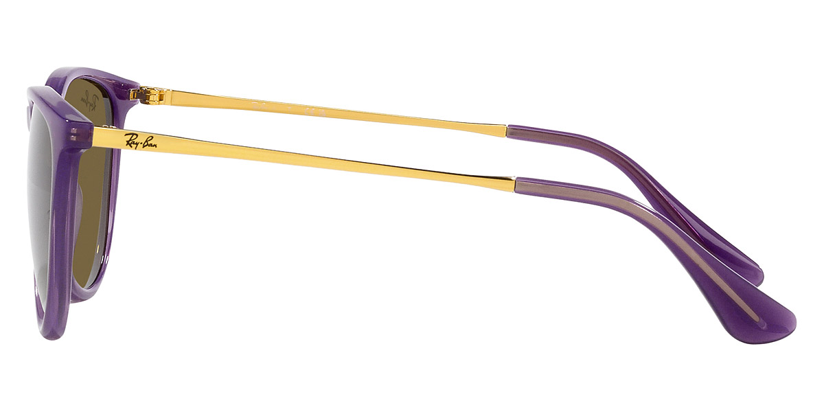 Ray-Ban™ - Junior Erika RJ9060S