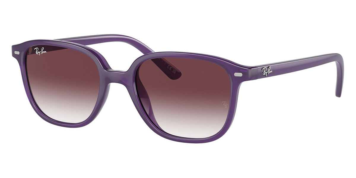 Ray-Ban™ - Leonard Jr RJ9093S