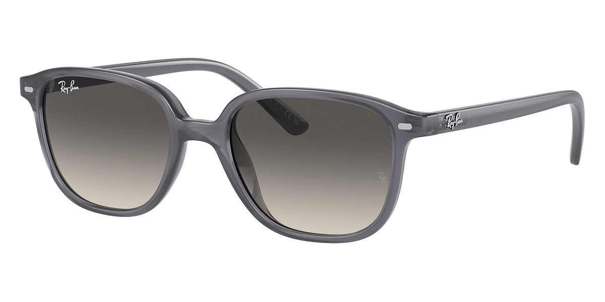 Ray-Ban™ - Leonard Jr RJ9093S