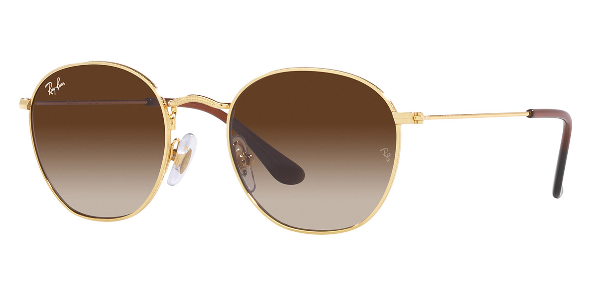 Color: Gold (223/13) - Ray-Ban RJ9572S223/1348