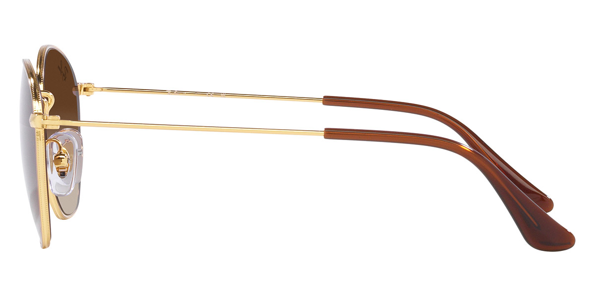 Color: Gold (223/13) - Ray-Ban RJ9572S223/1348