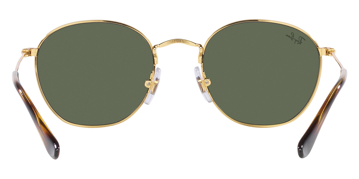 Color: Gold (223/71) - Ray-Ban RJ9572S223/7148