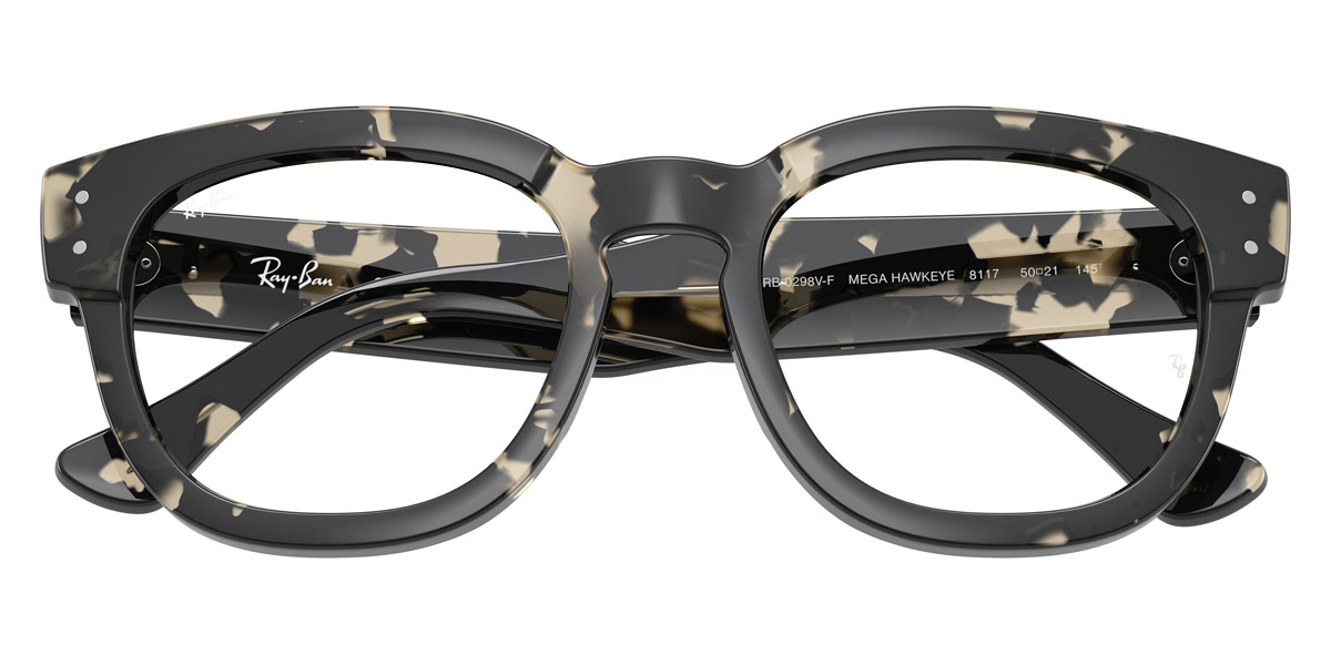 Color: Gray Havana (8117) - Ray-Ban RX0298VF811750