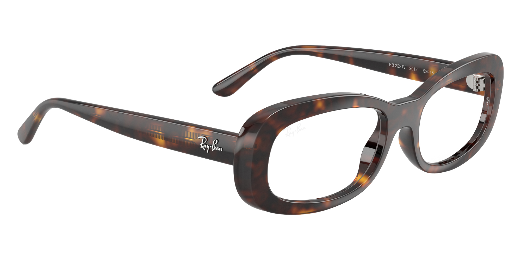 Ray-Ban™ - RB2221V