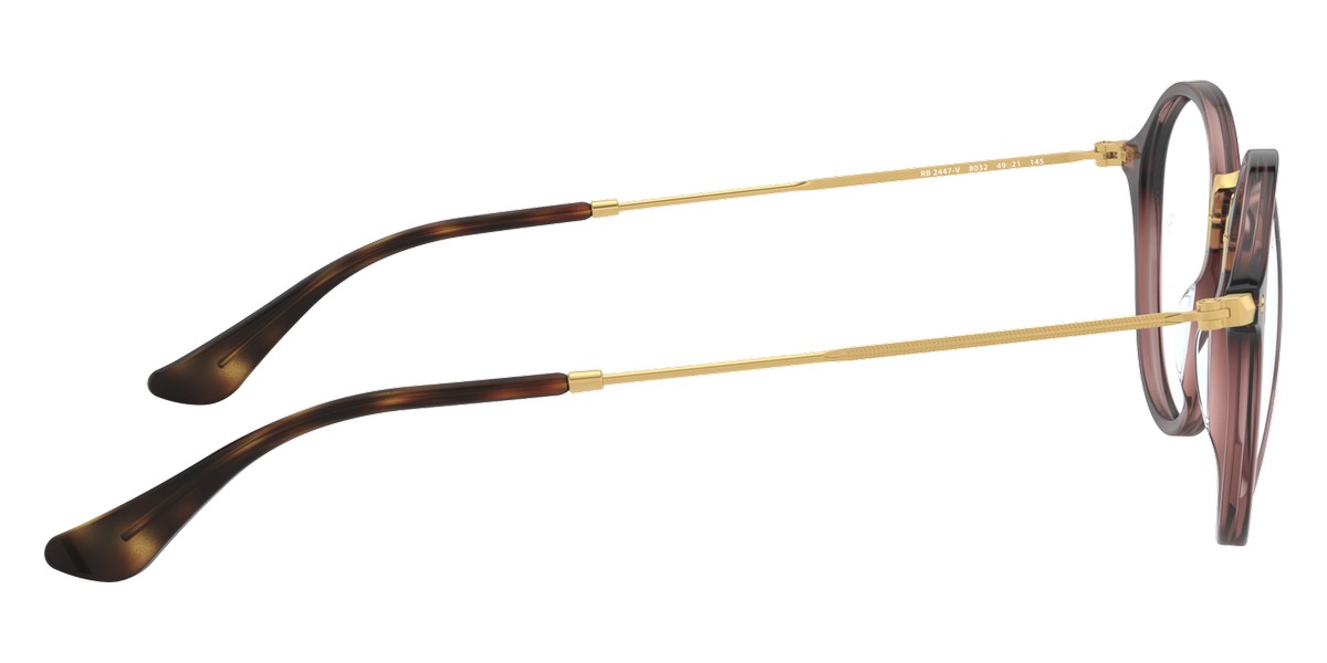 Ray-Ban™ - Round RX2447V