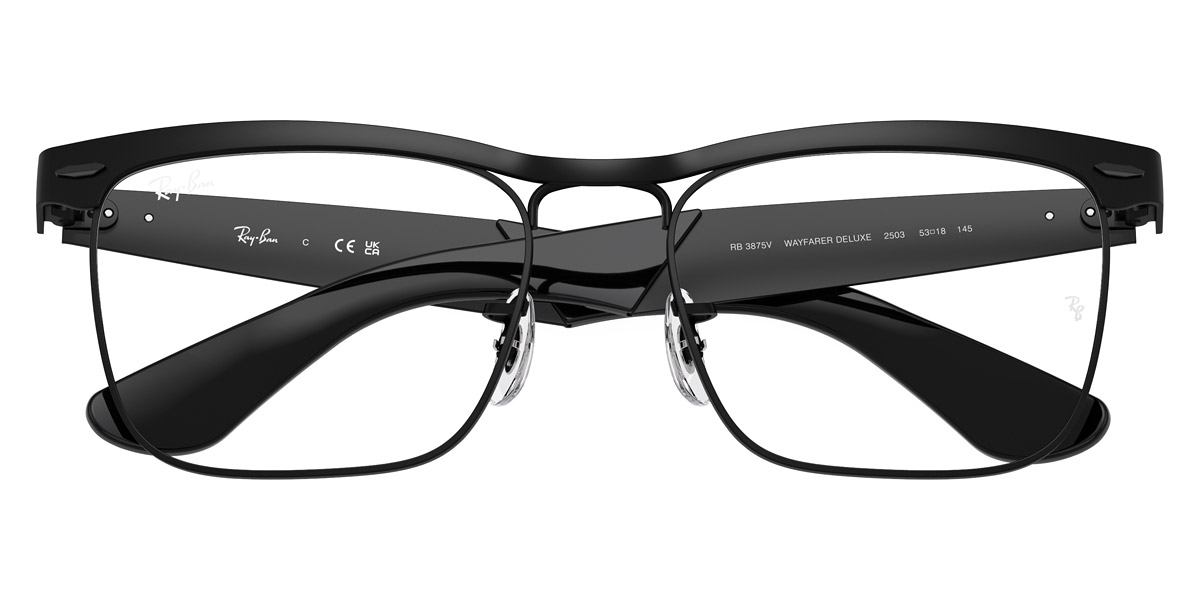 Ray-Ban™ - Wayfarer Deluxe RX3875V