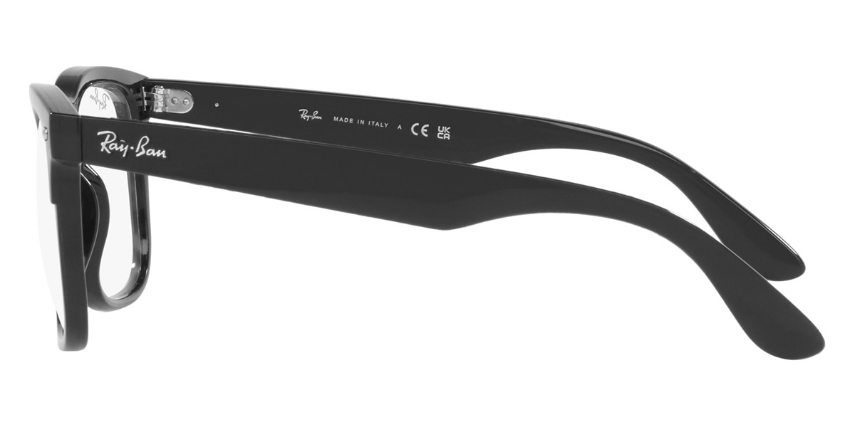 Ray-Ban™ - Steve RX4487VF