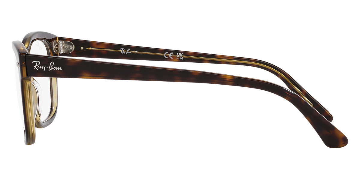 Color: Havana on Transparent (8285) - Ray-Ban RX5383F828554