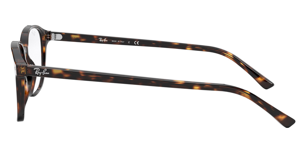 Ray-Ban™ - Leonard RX5393