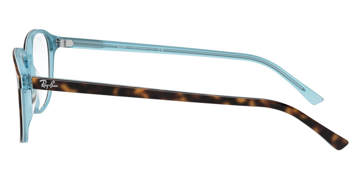 Ray-Ban™ - Leonard RX5393