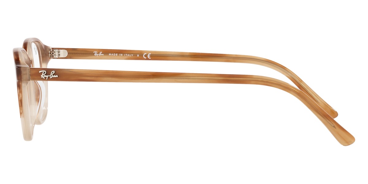 Ray-Ban™ - Leonard RX5393